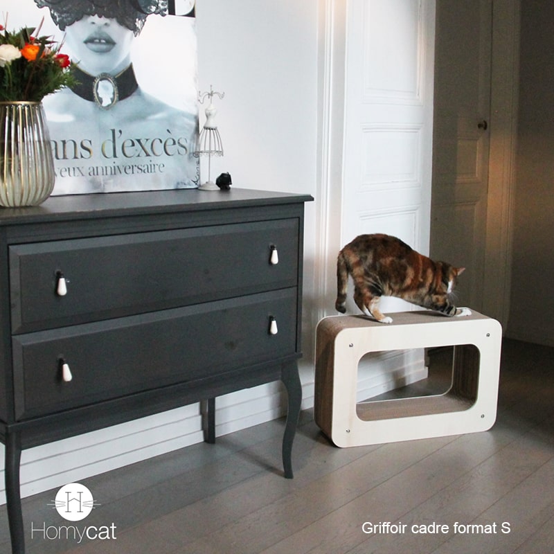 griffoir-chat-cadre-appartement-carton-deco-design-homycat