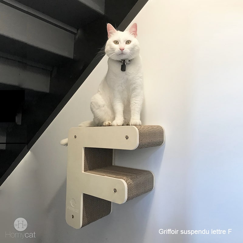 lettre-parcours-F-chat-blanc-griffoir-suspendre-mur-carton-homycat