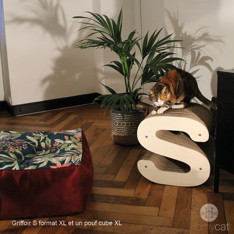 arbre-a-chat-lettre-s-deco-ambiance-salon-appartement-couchage-pouf-coussin-plante-tendance-meuble-homycat
