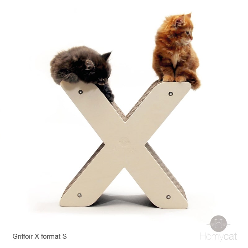 meuble-deco-lettre-X-griffoir-chaton-mainecoon-homycat