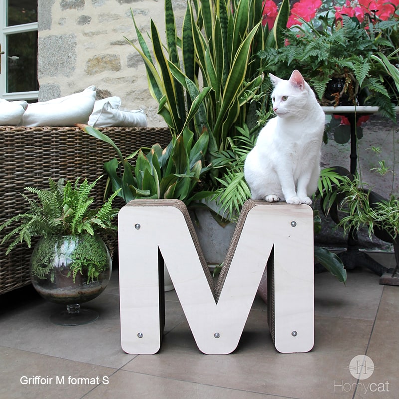 chat-perché-lettre-M-Homycat-décoration-naturel-maison-homycat