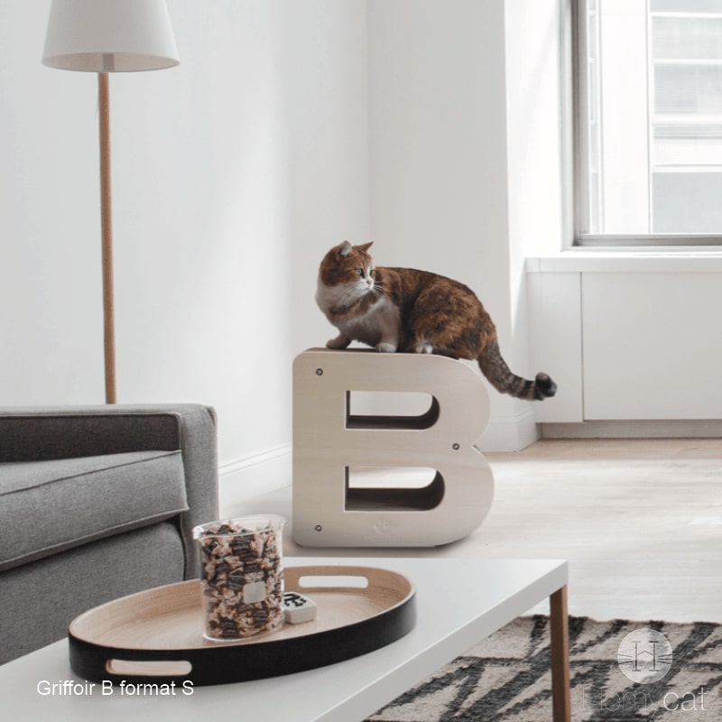 chat-lettre-B-loft-salon-chat-appartement-homycat