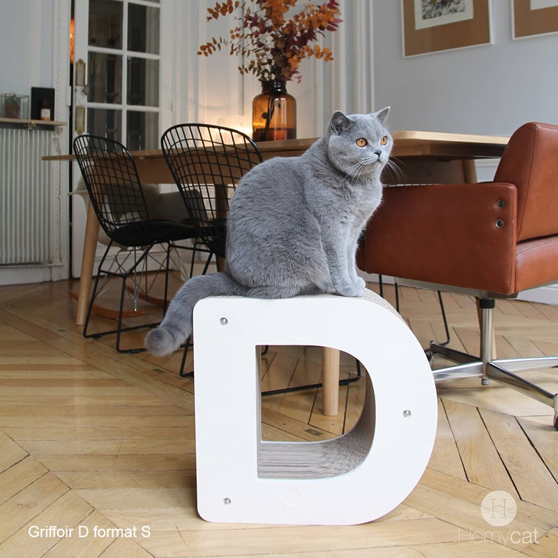 chat-lettre-d-decoration-intérieur-salon-xl-meuble-mobilier-lettre-a-poster-decoration-élégant-beau-homycat