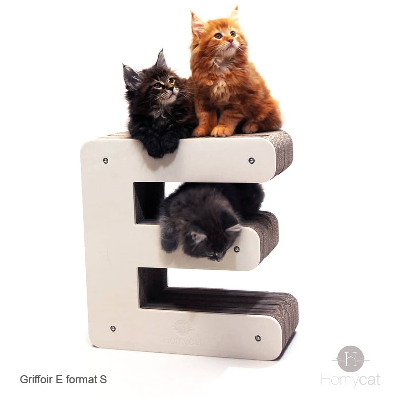 Chaton-lettre-E-noir-roux-tendance-durable-solide