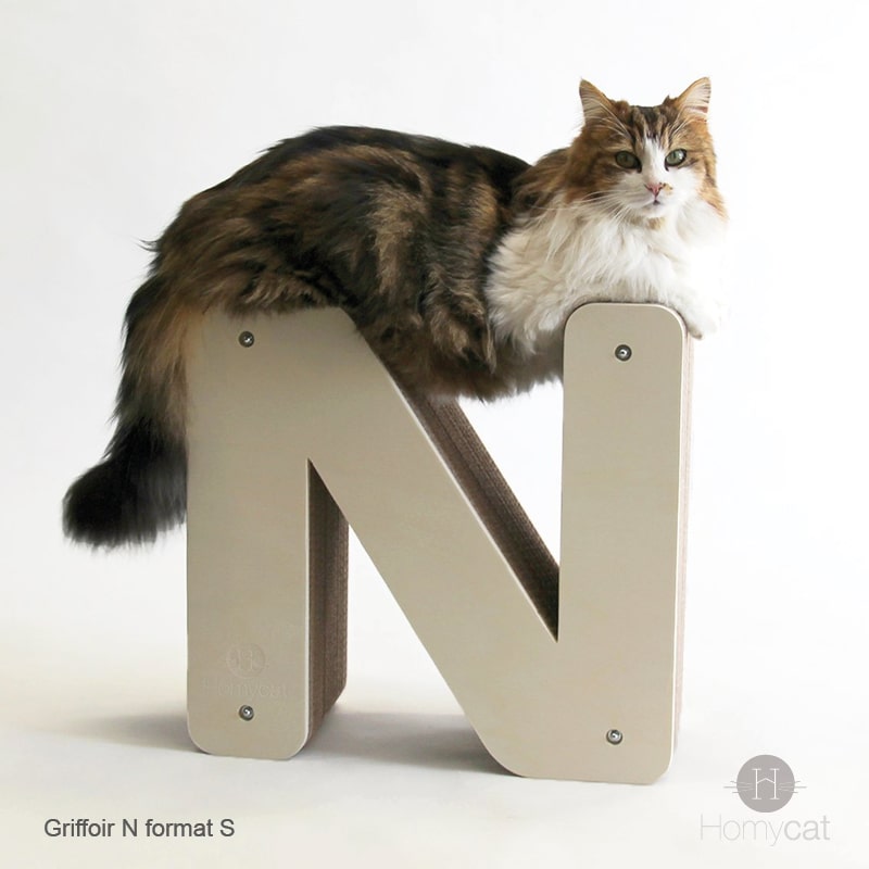 griffoir-lettre-N-france-design-deco-homycat-carton