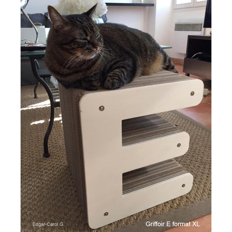 decoration-salon-design-chat-griffoir-lettre-e-carton-bois-homycat