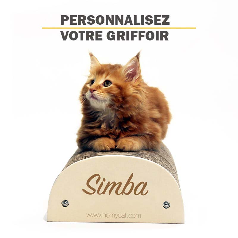 griffoir-personnalisé-pour-chats