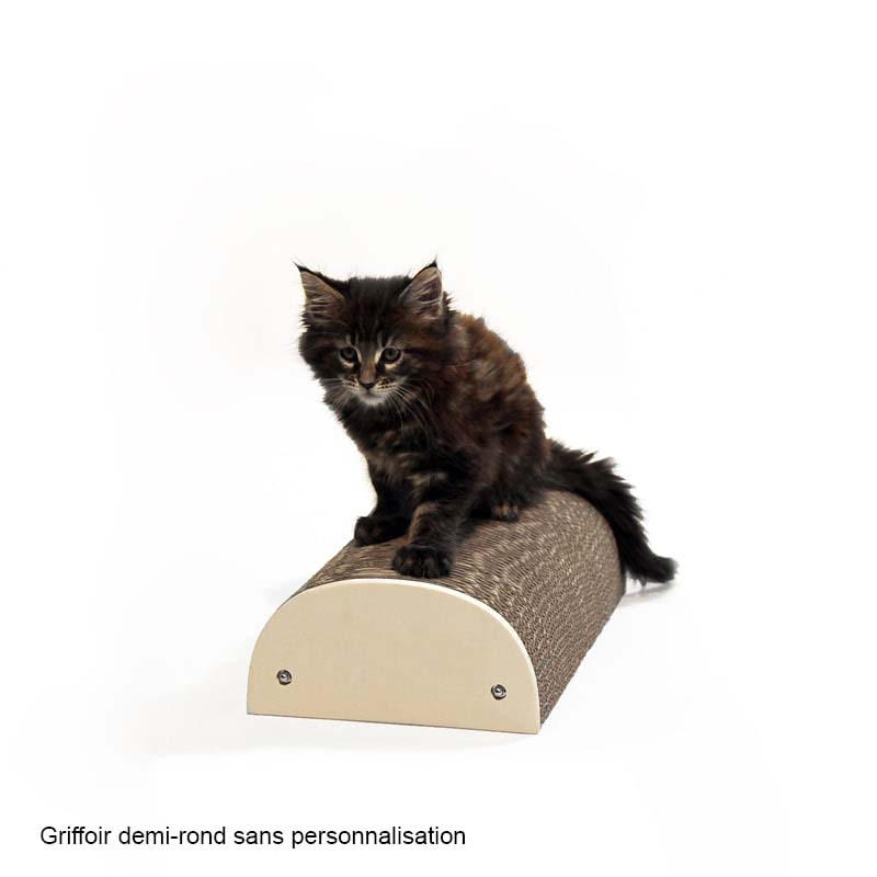 idée-cadeau-pour-chat