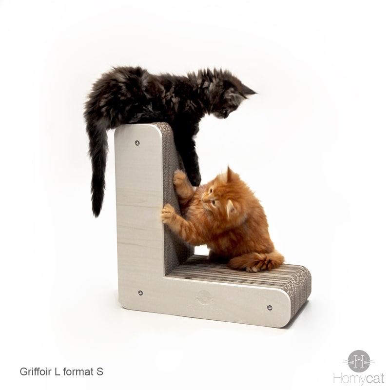 chatons-mainecoon-lettre-l-jouer-fun-arbre-a-chat-mignon-qualité-rechargeable-homycat