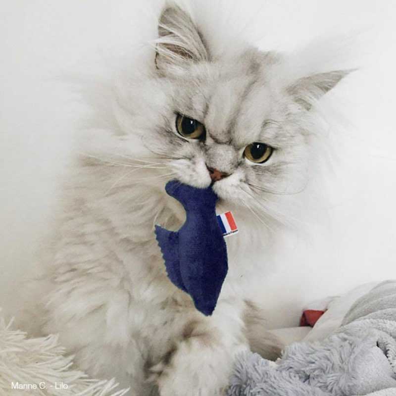 Pack de la mer - 2 x Jouets Poissons pour chats + 1 Jouet Étoile de Mer