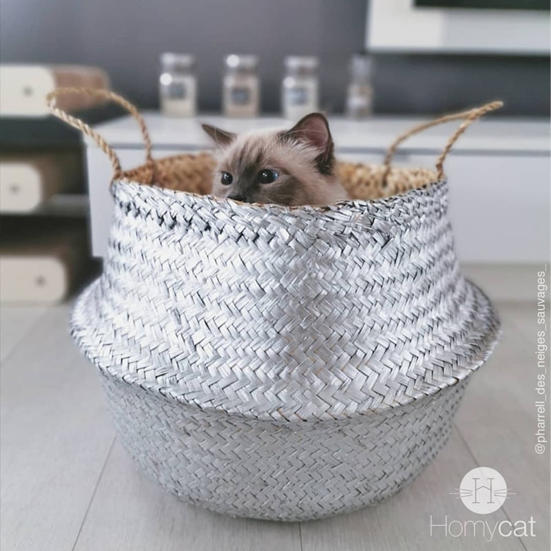 corbeille-chat-cachette-argent-gris-deco-design-jonc-natuel-salon-homycat-grand
