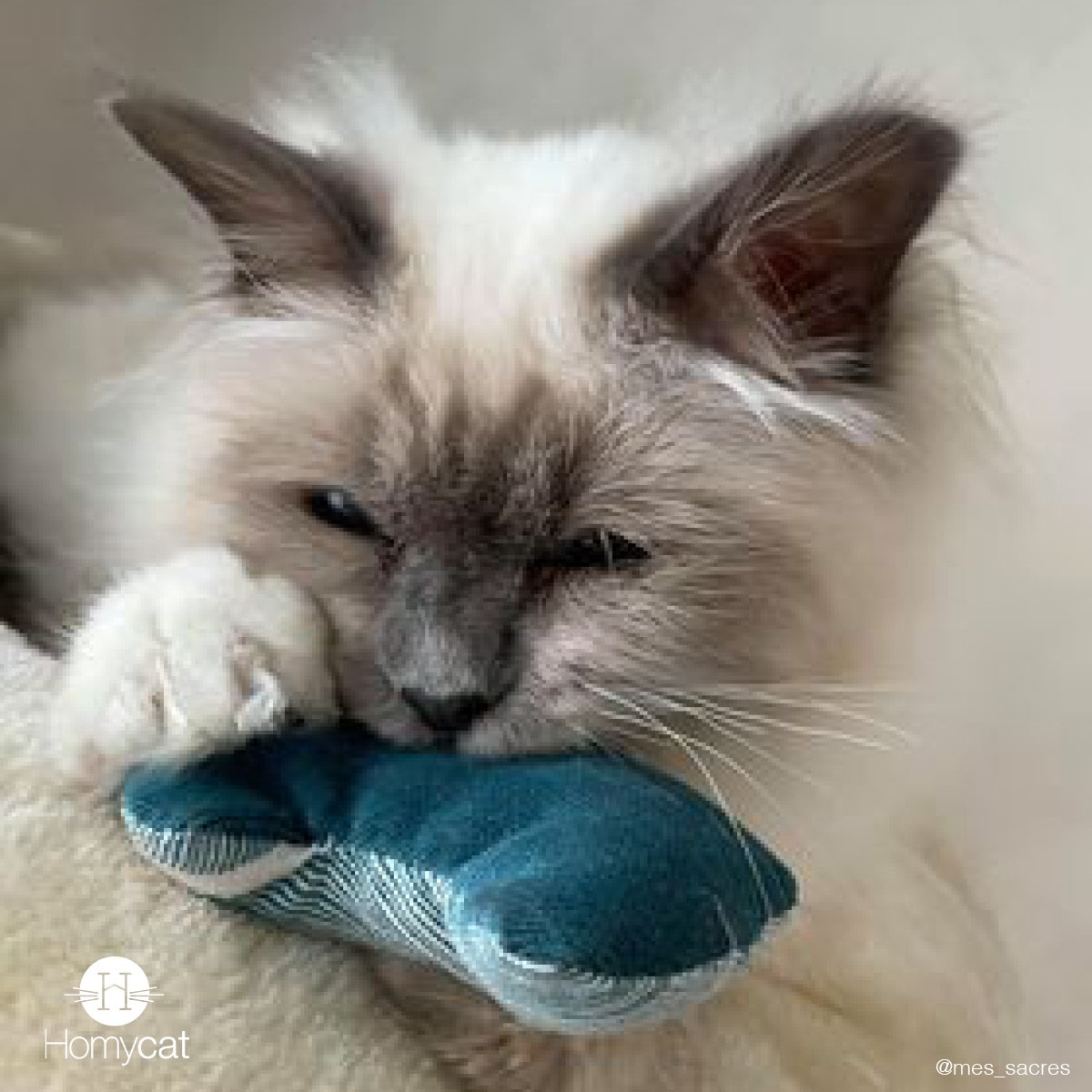 Doudou tête de chat - Jouet pour chat - catnip